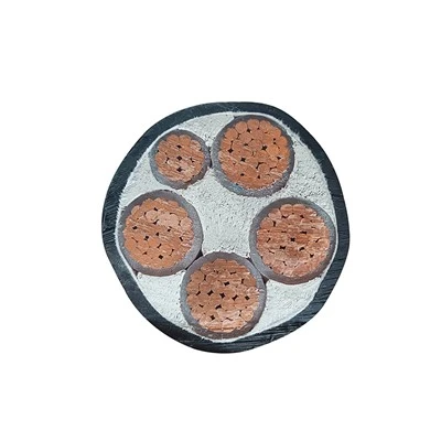 14 50r Generator Cord